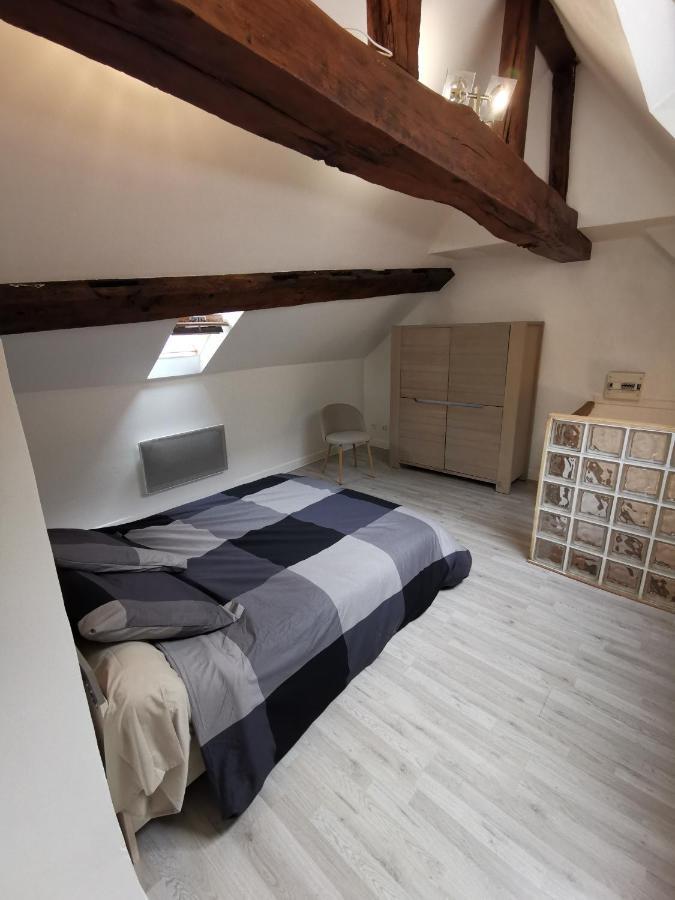 Appartement Hyper Centre Au Bord De Loire Ορλεάνη Εξωτερικό φωτογραφία